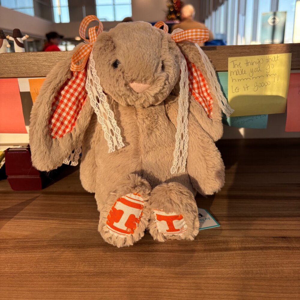 Handmade College Jellycat Bunniesπ§‘ - Picture 5 of 14